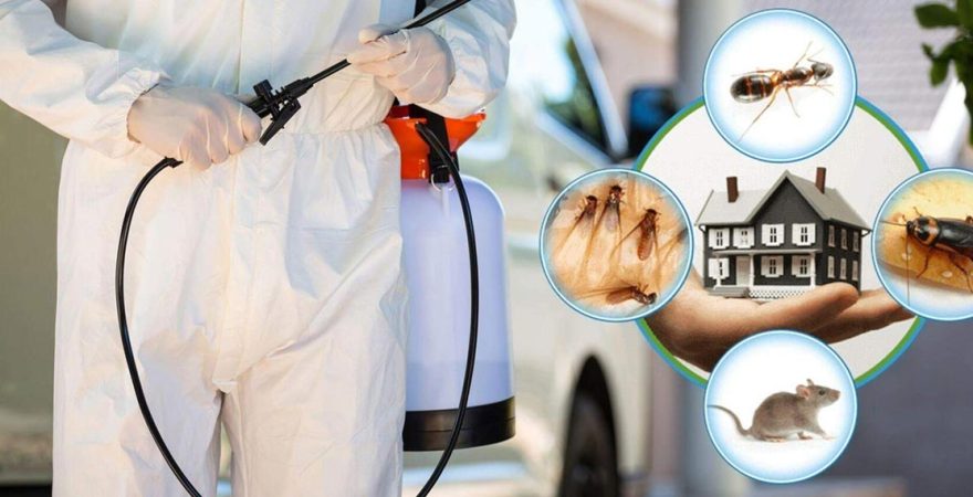 Dilovası Böcek İlaçlama