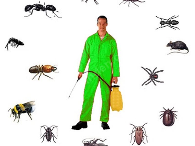 Dilovası Böcek İlaçlama